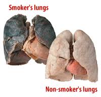 quit smoking,E cig,Quality e cig ,Cheap e cig ,E cig reviews ,E cig cartridges ,Good e cig